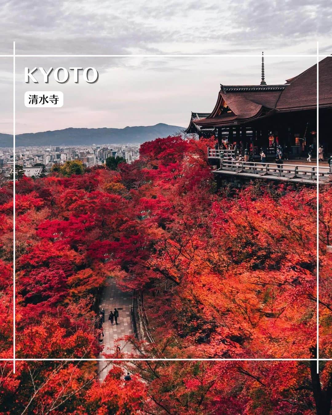 エイチ・アイ・エスのインスタグラム：「＼真っ赤なヤマモミジが圧巻🍁／  京都の清水寺は紅葉シーズンになると 境内に1,000本以上植えられているヤマモミジが 真っ赤に色づきます😊🍁  例年見頃は11月下旬～12月上旬☝️ これから行かれる人は紅葉情報を チェックしてから行ってみてね～🧐🧡  …………………………………………………………… 📍 #京都 #清水寺 📸 @vic_nkt さん  長い間海外に住んでいたことから、 なかなか行けなかった秋の京都にやっと行けました。 清水寺を彩る紅葉は圧巻でした！ ……………………………………………………………  旅先探しのヒントは こちらをチェック▶︎▶︎▶︎ @his_japan  —————— 📷旅のお写真募集中✈️ ——————  皆さんの旅の思い出は、@his_japan OR #his_japan2023 を付けてシェアしてください🙌 過去PICもOKです❗️  集まったお写真は、HISのSNSやオウンドメディアでご紹介🙆‍♀️  #旅の思い出 #国内旅行 #京都観光スポット #京都おすすめ #紅葉  #次の旅先リスト #旅行好きな人と繋がりたい #写真好きな人と繋がりたい #旅したくなるフォト #旅スタグラム #インスタトラベル #女子旅 #ひとり旅 #カップル旅 #家族旅行 #instatravel #instapassport #photooftheday #instaphotography #worldtravelpics #worldtraveler #japantravelphoto #kyototrip #KiyomizuderaTemple」