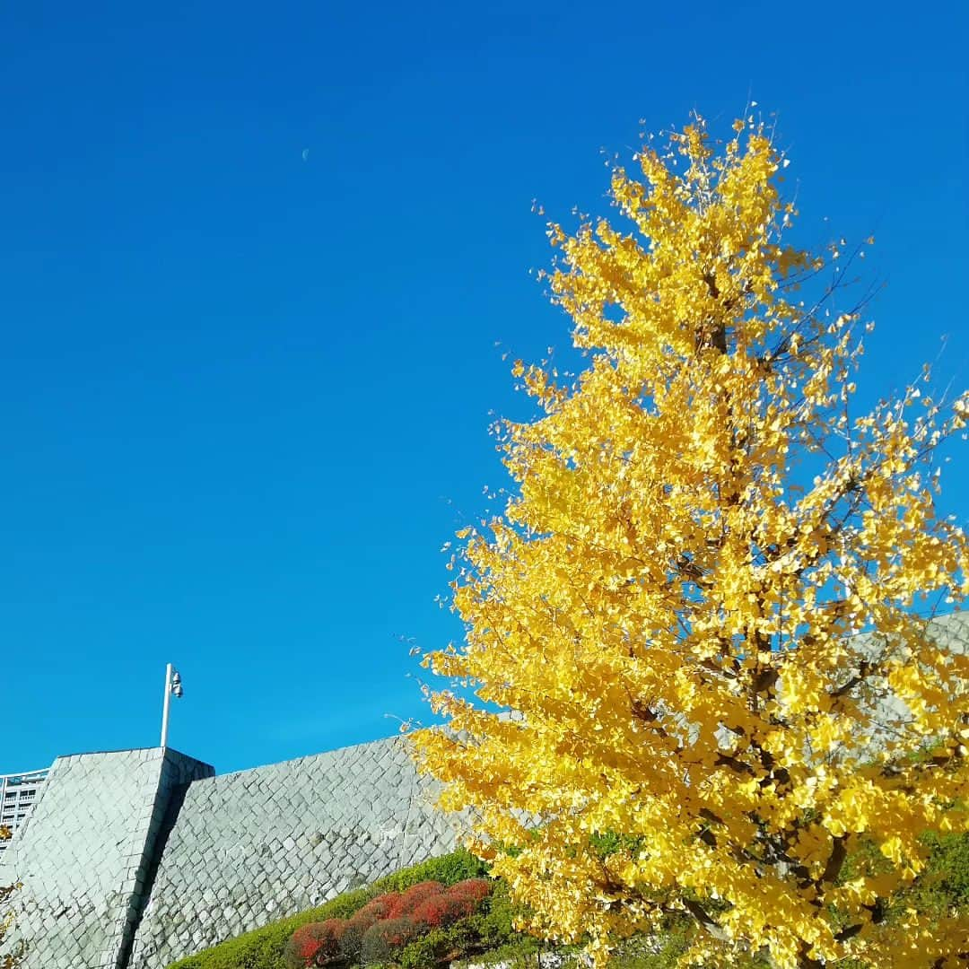 千種ゆり子のインスタグラム：「コントラストが良き . 月もひょっこり . . . #気象予報士の空コレクション」