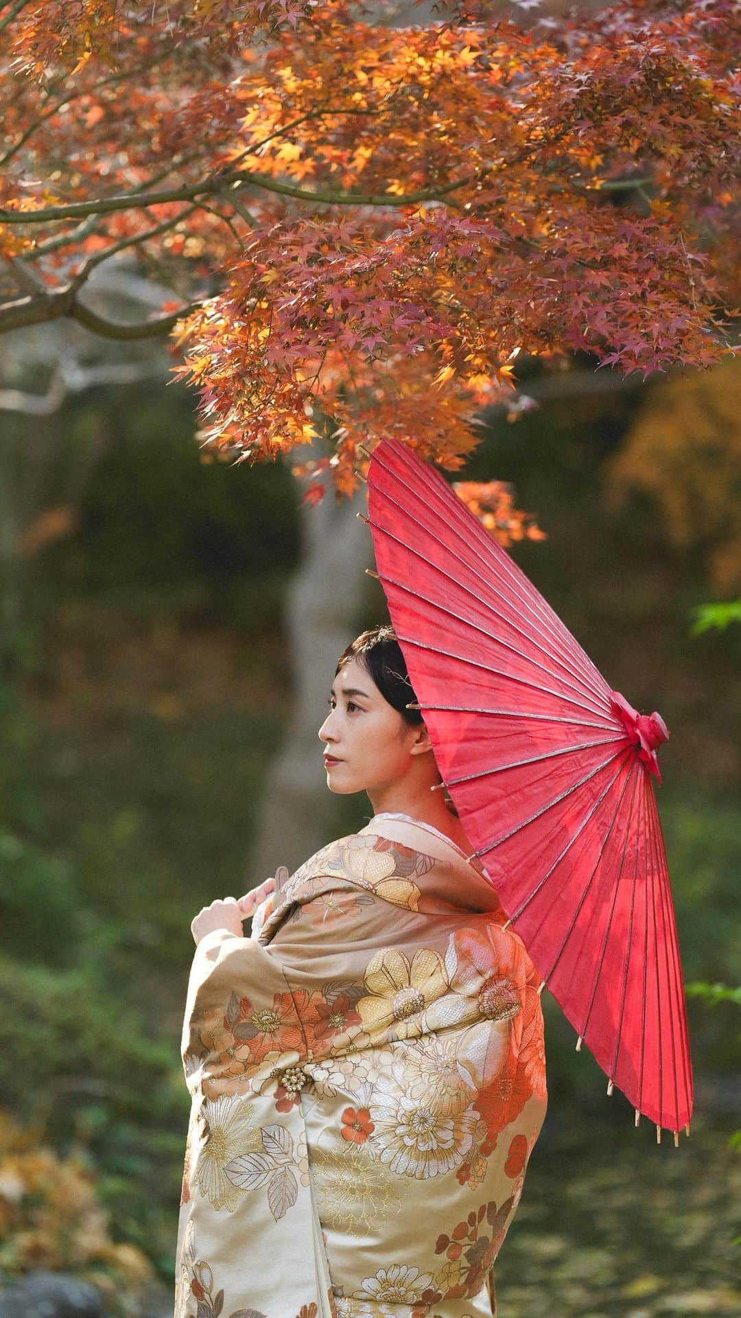 スタジオアクア新宿店のインスタグラム：「本日撮影の甘泉園ロケーション🍁  綺麗な紅葉と晴天で最高のロケーション日和でした！！ とても素敵なお二人に癒されました〜  新作の色打掛もとっても可愛かったです👘 ↓（詳細はこちら） IU01131 / 慶陽　モカ  大ぶりな愛らしい柄行の花々と、優しい彩りで  織り上げた、慶陽 こちらのモカ色が入荷しました！！  カメラマン📷：@yuta_deco.ph ヘアメイク💄：@m_ishiyama.deco.hm ご指名もお待ちしております！！  . . .  #和装 #打掛 #和装ヘア #和装前撮り #甘泉園  #前撮り #和装花嫁 #和装結婚式 #スタジオ撮影 #ウェディング #ウェディング前撮り #ウェディングフォト #デコルテウェディング #撮る結婚式  #スタジオアクア #フォトウェディング #前撮り スタジオアクア新宿店🌱 ▷▷ @studioaqua.shinjuku  ⁡ デコルテ公式アカウント ▷▷ @decollte_weddingphoto  -——————————— ▷ フォトグラファー ▷ ヘアメイク ▷ フォトプランナーの仲間を募集中！  私たちと一緒に働きませんか？ 詳しくは @decollte_recruit へ🍀」