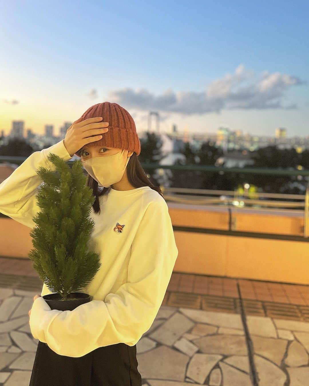 運上弘菜さんのインスタグラム写真 - (運上弘菜Instagram)「. 小さいツリーをGETした🌲🎄」12月8日 19時24分 - nappi_0809