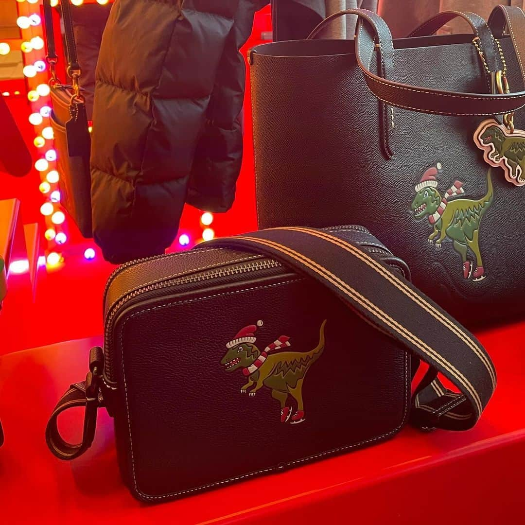 月山京香さんのインスタグラム写真 - (月山京香Instagram)「. 東京ミッドタウン ガレリア B1 アトリウムにて @coach_japan のポップアップが今月28日まで開催🎄✨✨  ポップアップストア限定でアイコンキャラクター恐竜のレキシーのアイテムが先行発売してます🦕🤍 私はレキシーのショルダーバッグ🫶🏻  他にもホリデーシーズンにぴったりなアイテムがラインナップしてるからぜひチェックしてみて❄️  @coach_japan @coach  #コーチミッドタウンアイスリンク #CoachJapan #CoachHoliday #PR」12月8日 19時24分 - i_am_kyoka_yade