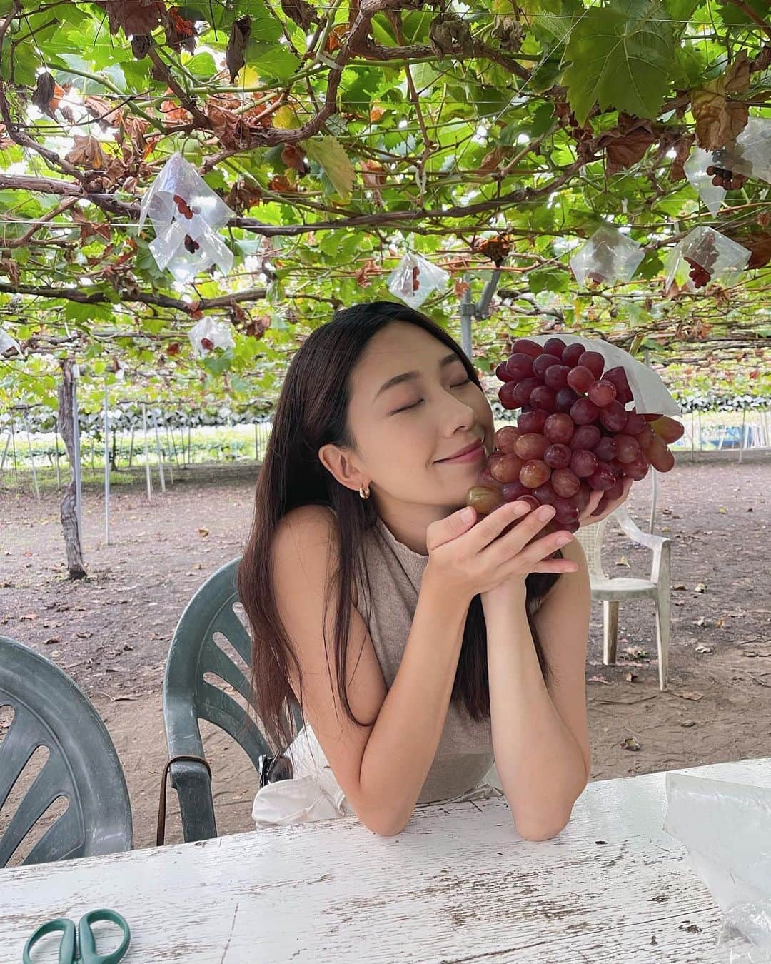 松田和佳さんのインスタグラム写真 - (松田和佳Instagram)「🍇  季節外れな寒そうな写真ごめんなさい🥹  10月のぎりぎりノースリーブ着られるくらい暖かかった時にぶどう狩りに行ってきた時の😚📸 カメラロール遡って発見したので投稿しておきます🙆🏼‍♀️💜笑  ぶどうでお腹いっぱいになれるの幸せだったな〜 私が持ってるぶどう、種がなくて甘くてすごく美味しかったのですが、品種忘れてしまいました…なんだっけ🥺  #山梨県 #ぶどう狩り #フルーツ #ぶどう #葡 #勝沼ぶどう郷」12月8日 19時25分 - waka_matsuda