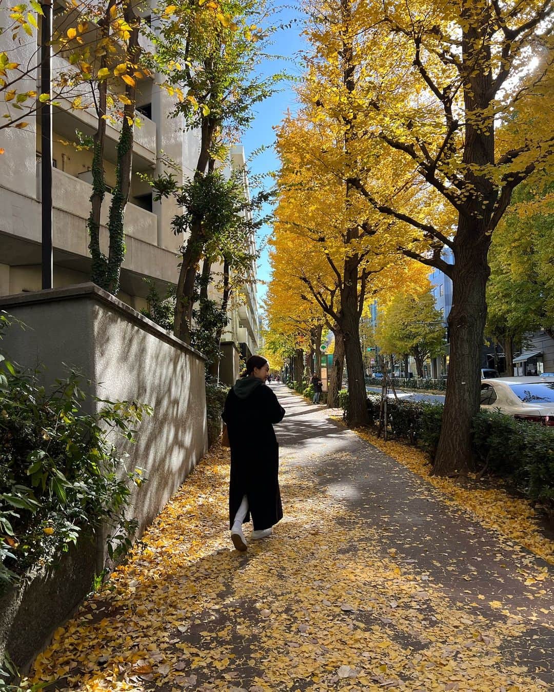 春名亜美のインスタグラム：「銀杏並木も、 風に乗って舞ってる葉っぱも、 落ち葉の絨毯も、 ぜーんぶ素敵  #銀杏並木」