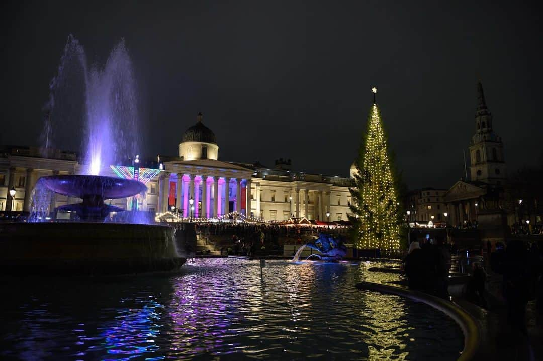 ロイヤル・ファミリーのインスタグラム：「🇬🇧🇳🇴 Yesterday, The King received the Norwegian Ambassador, Mr. Tore Hattrem, at Buckingham Palace. The Audience took place on the day that the Norwegian Spruce, given as a gift from the people of Norway to the people of the UK, was illuminated in Trafalgar Square.  This annual gift symbolises Norway's gratitude for the UK's support during the Second World War.」