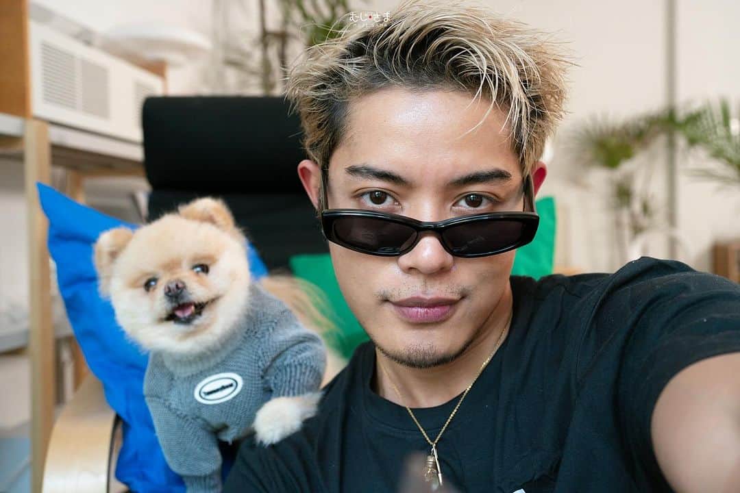 むじさまさんのインスタグラム写真 - (むじさまInstagram)「ใครอยากเท่แบบพี่มูตามมาค้าบ 🐶😎  ✨️️ไอเท็มพิเศษต้องตามเก็บ! มาแล้วที่ The Emsphere ห้างใหม่ใจกลางเมือง  👕คอล AURTIENDE (ออเทียนเด) หรือคอล IKEA Fans รวมเสื้อผ้า หมวก ของใช้ลวดลาย IKEA  📌ที่ IKEA Sukhumvit ชั้น 3 ห้าง The Emsphere ลงสถานี BTS พร้อมพงษ์แล้วเดิน Sky Walk เข้ามาห้างได้เลย! #IKEAsukhumvit #IKEAThailand」12月8日 19時37分 - mujisama