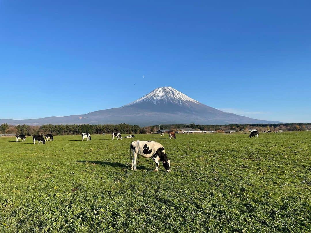 髙橋大悟さんのインスタグラム写真 - (髙橋大悟Instagram)「#富士は日本一の山   ずっと見ていられる、何か不思議な力を感じました。 いつか富士登山チャレンジすると決めました。  #富士山 #mountfuji #mtfuji #紅葉 #このブランコ何回も並んで乗った。 #テレビ東京 #アナウンサー #髙橋大悟」12月8日 19時45分 - daigo_takahashi_tx.777