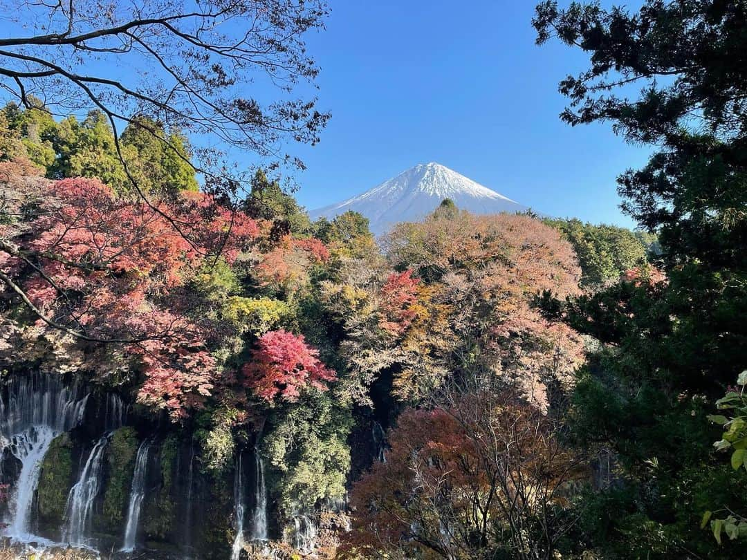 髙橋大悟さんのインスタグラム写真 - (髙橋大悟Instagram)「#富士は日本一の山   ずっと見ていられる、何か不思議な力を感じました。 いつか富士登山チャレンジすると決めました。  #富士山 #mountfuji #mtfuji #紅葉 #このブランコ何回も並んで乗った。 #テレビ東京 #アナウンサー #髙橋大悟」12月8日 19時45分 - daigo_takahashi_tx.777