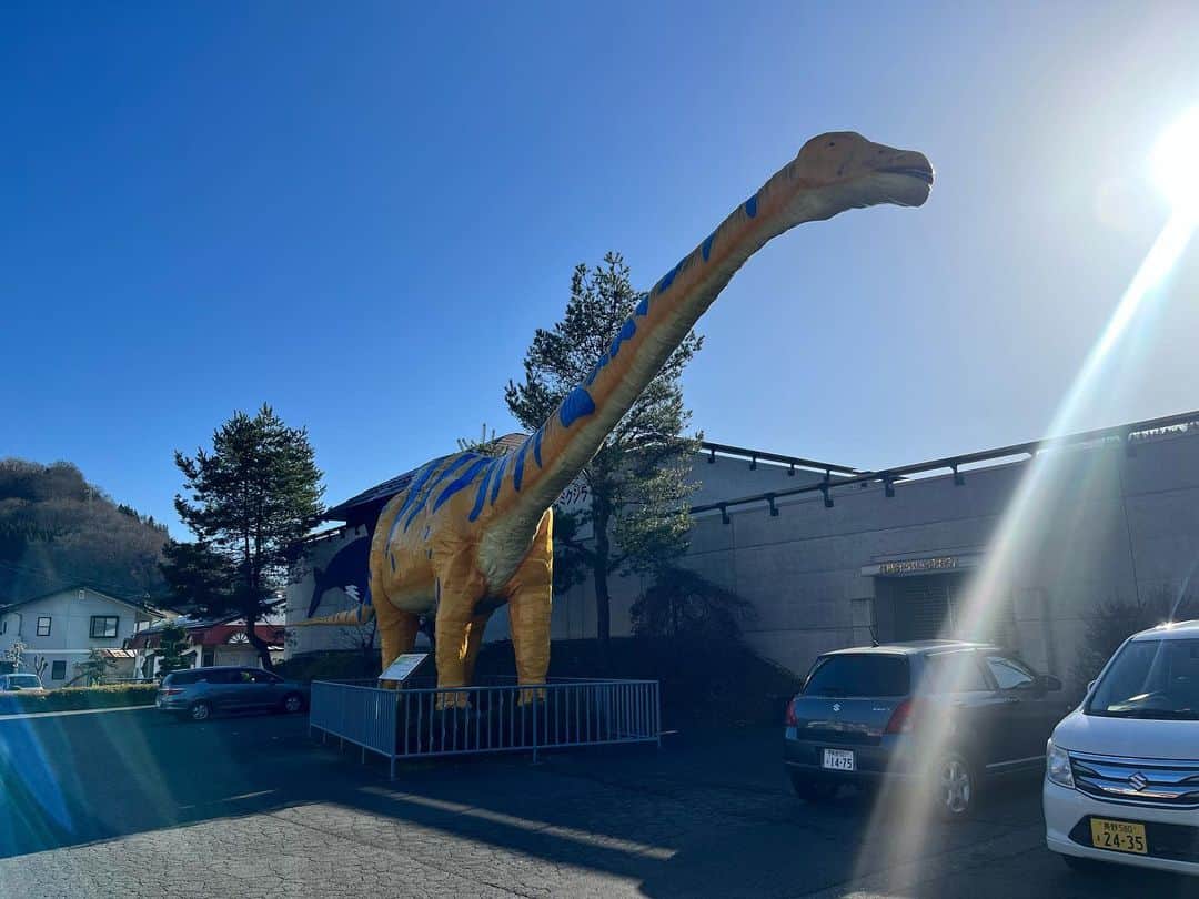 重盛赳男さんのインスタグラム写真 - (重盛赳男Instagram)「トリケラトプス拳🦖  きょうの「NBSみんなの信州」では、化石や恐竜を地域の新たな目玉に！と盛り上がる、長野市信州新町を特集。 リニューアルされた化石博物館を取材しました！  クジラの化石が出土し、元々「化石熱」の高い地域。 博物館は、発掘調査に関する展示などが新設されて、地域の化石にまつわる情報を分かりやすく学べます🐳 あすから一般公開です！  #長野放送 #NBSみんなの信州 #みんなの信州 #長野市 #信州新町 #信州新町化石博物館 #重盛赳男 #この惑星史上最強の突進力に学ぶ #アナウンサー #キャスター」12月8日 19時49分 - shigemoritakeo