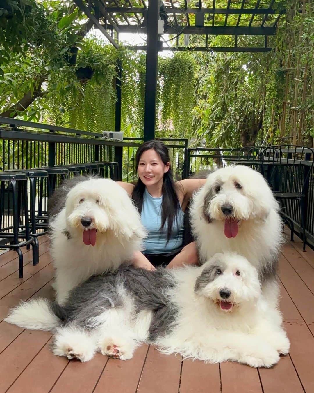 HIMARIのインスタグラム：「🐶 小さいワンコももちろん好きだけど 大型犬の魅力をたっぷり感じた時間でした🥹🤍 お店の詳しい情報は リールでアップ予定です🩵   ワンちゃんに必死で慌てた結果 あぐらになってしまったことが唯一の後悔だけど スカートにズボンついててよかった😇 アップしても見えませんので。 . . . #タイ旅行#タイ観光#ドッグカフェ#ハスキーカフェ#trueloveneverland #タイドッグカフェ#アニマルカフェ」