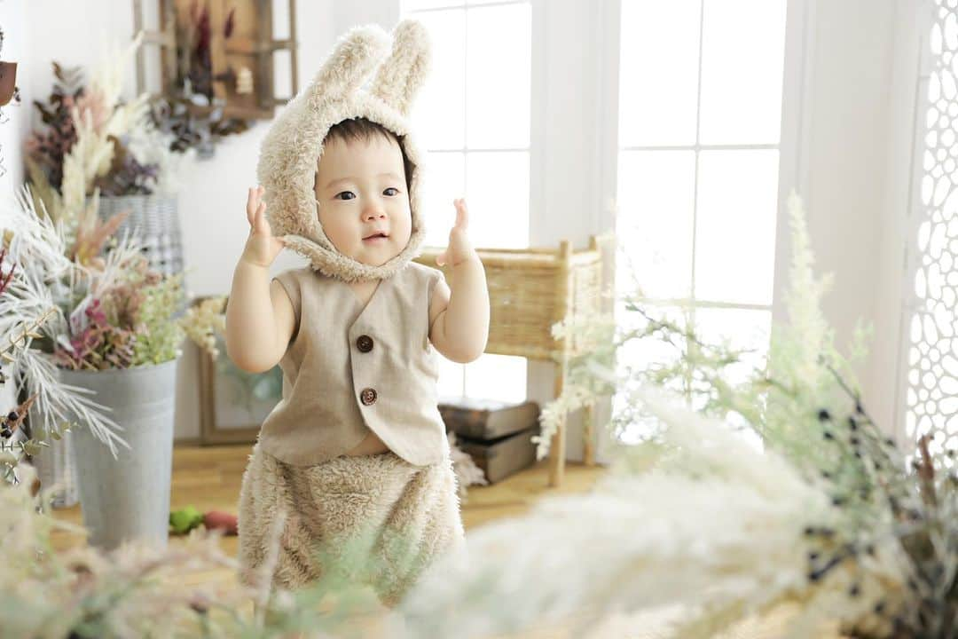 フォトスタジオタートルのインスタグラム：「うさぎに変身🐰♡  バースデー撮影でも大人気な うさぎの着ぐるみ✨！ セットのにんじんを持って 一緒に撮影もできます🥕  いろんな動きが出来るようになって ひとつひとつの仕草がさらに可愛く、、🤍  タートルでものバースデー撮影は 平日がさらにお得🉐 詳しくはプロフィールのHPから☺️✨  #フォトスタジオ #スタジオ #写真館 #フォトスタジオタートル  #名古屋写真館 #フォトスタジオ名古屋 #名古屋フォトスタジオ #ベビーフォト #ベビーフォト撮影 #バースデー #バースデーフォト #バースデーフォト撮影  #ハーフバースデー #ハーフバースデーフォト #ハーフバースデーフォト撮影 #halfbirthday  #halfbirthdayphoto  #halfbirthdayphotoshoot #誕生日 #誕生日フォト #赤ちゃんのいる生活  #赤ちゃんのいる暮らし  #べびすたぐらむ」