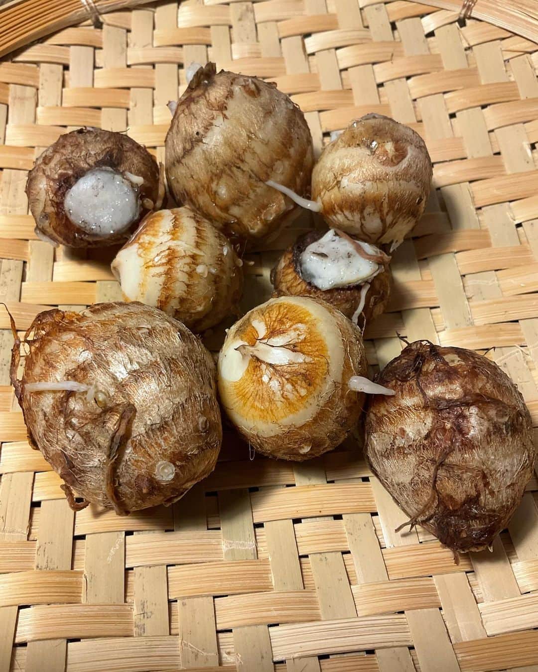 野島健児さんのインスタグラム写真 - (野島健児Instagram)「うんまい ほりたての里芋の孫 美味しすぎる  里芋は 親芋 小芋 孫芋あります  今日はいろいろ収穫できました」12月8日 20時17分 - nojima_kenji