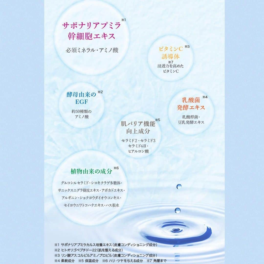 鈴木蘭々さんのインスタグラム写真 - (鈴木蘭々Instagram)「明後日12月10〜25日までセールを開催致します✨✨✨✨ 一万円以上お買い上げの方は送料無料‼️  購入サイトへはプロフィールのリンクから💁‍♀️もしくは鈴木蘭々化粧品で検索💨  使い方や商品説明等はアメブロ、またはインスタのハイライトから☺️ この機会に是非😘  #美容液 #美容オイル」12月8日 20時12分 - lanlan_suzuki