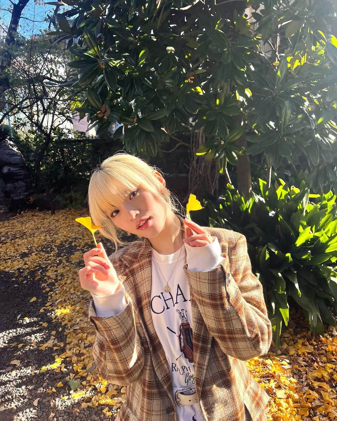 鶴屋美咲のインスタグラム：「天気よいーー🍂☀︎✨　#ootd」