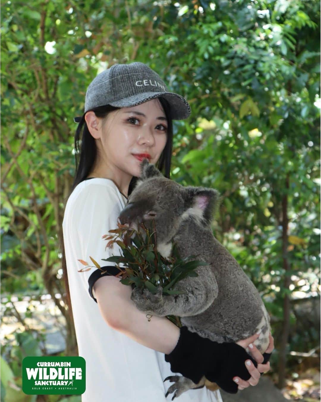 竹内えりかのインスタグラム：「人生初🐨抱っこ！思ったよりお尻固かった(笑) カンガルームキムキマッチョなのに目細めて寝てて可愛かったですね . #カランビン #currumbinwildlifesanctuary #オーストラリア旅行 #Australia #ゴールドコースト」