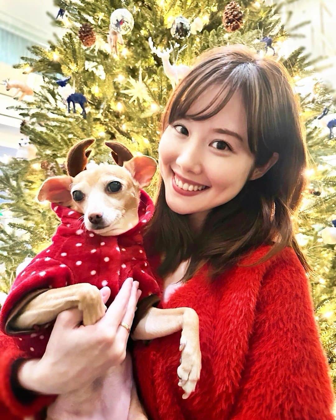 メロディー・モリタのインスタグラム：「Roundup of the past few weeks with our parents!😊 義理の両親がサンクスギビングウィークからボストンに✨ 私の両親も合流し、みんなでホリデーシーズンを満喫🦌🔔  My parents-in-law have been visiting since Thanksgiving week, and my mom and dad have also joined us in Boston to spend the holidays all together♪ Gatherings during this time of the year feels extra sparkly and special.🎄❤️  Slide 2's video is at my new fave French, @deuxave with excellent service and ambience. I also came across "Central Perk" from Friends which recently opened + a squirrel with the strongest quads in Boston Common with its unique eating style (Slide 3)😆 I've also been balancing work by flying monthly from Boston⇄NYC to MC at various Japanese government events. It's always a pleasure meeting/working with familiar and new faces✨  Lmk if you have any fun holiday plans coming up! Stay warm (if you live in colder climates), and for those heading home soon, safe travels🤗  ここ数週間の写真＆動画✨ ボストンには何度も訪れている両親たちですが、アメリカではサンクスギビングとクリスマスは家族と一緒に過ごす習慣があるので、この時期に集まることができて嬉しいです☺️🎀  スライド2の動画は、「Deuxave」 というフレンチレストラン。お店の雰囲気はもちろん最高で、シェフからのサプライズサービスもあったり、すっかりお気に入りのレストランになりました。  スライド3では、オープンしたばかりの「フレンズ」でお馴染みの「Central Perk」実店舗へ。Boston Commonで独特な食べ方をする可愛いリスや、大行列のアヒルたちも発見💡 住んでいると普段は行かない観光エリアですが、この時期は特に煌びやかになっていて素敵です🎄  仕事では11月＆12月もボストンとニューヨークの往復で、農林水産省、JFOODOなどのMCを務め、日本とアメリカの新しい魅力を再確認しました。イベントに来た人たちが笑顔になっていく姿を見ていると、イベントを作る一員になれてとても嬉しい気持ちになります。  今年も残りわずかですが、家族＆仕事の私にとって大切な居場所に感謝し、年末まで頑張りたいと思います。皆さんも暖かくして、ホリデーシーズンを楽しんでくださいね☺️✨」