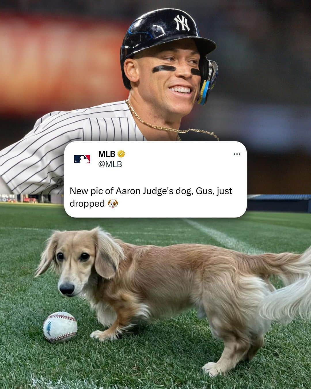 MLBのインスタグラム：「More Gus content please @thejudge44」