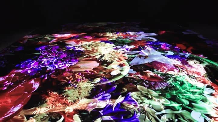 東信のインスタグラム：「“A Chaotic Garden” in NGV @ngvmelbourne  Triennial  Date: 3 Dec, 2023 - 7 Apr, 2024 Location: Melbourne, Australia  Come and explore!  #azumamakoto #amkk #東信花樹研究所 #NGV #NGVtriennial #Melbourne #blockflowers #droptime」