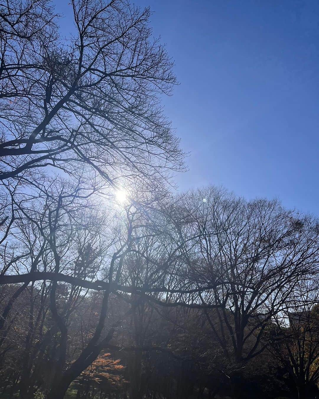 植村あかりさんのインスタグラム写真 - (植村あかりInstagram)「⁡ ⁡ 日本武道館仕様のネイルが可愛くて今回もお気に入りです❤️‍🔥 ⁡ ⁡ ⁡ #alumnail#juicejuice#植村あかり」12月8日 22時42分 - akari_uemura.official