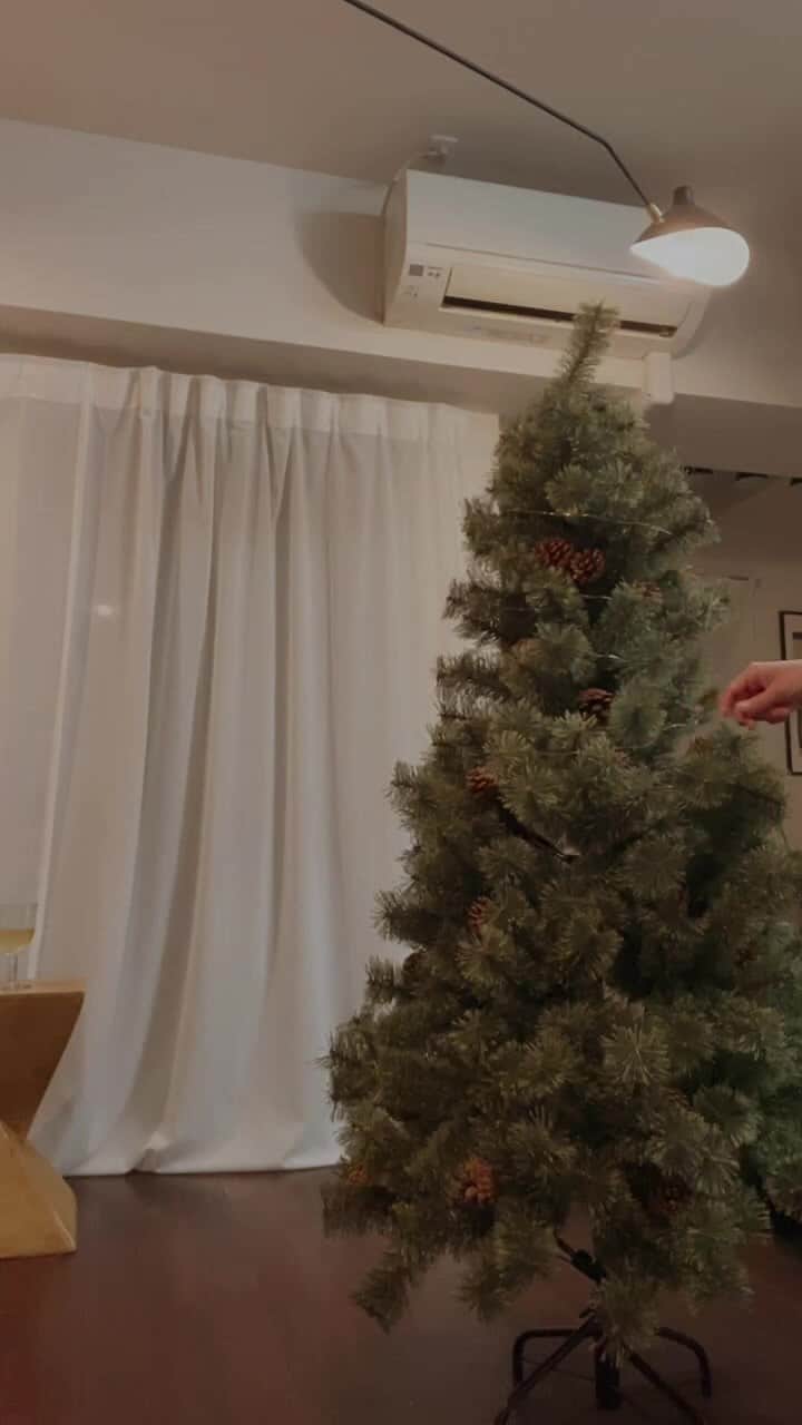 Yuki Ide | 井手 祐来のインスタグラム：「はじめてのクリスマスツリー🎄」