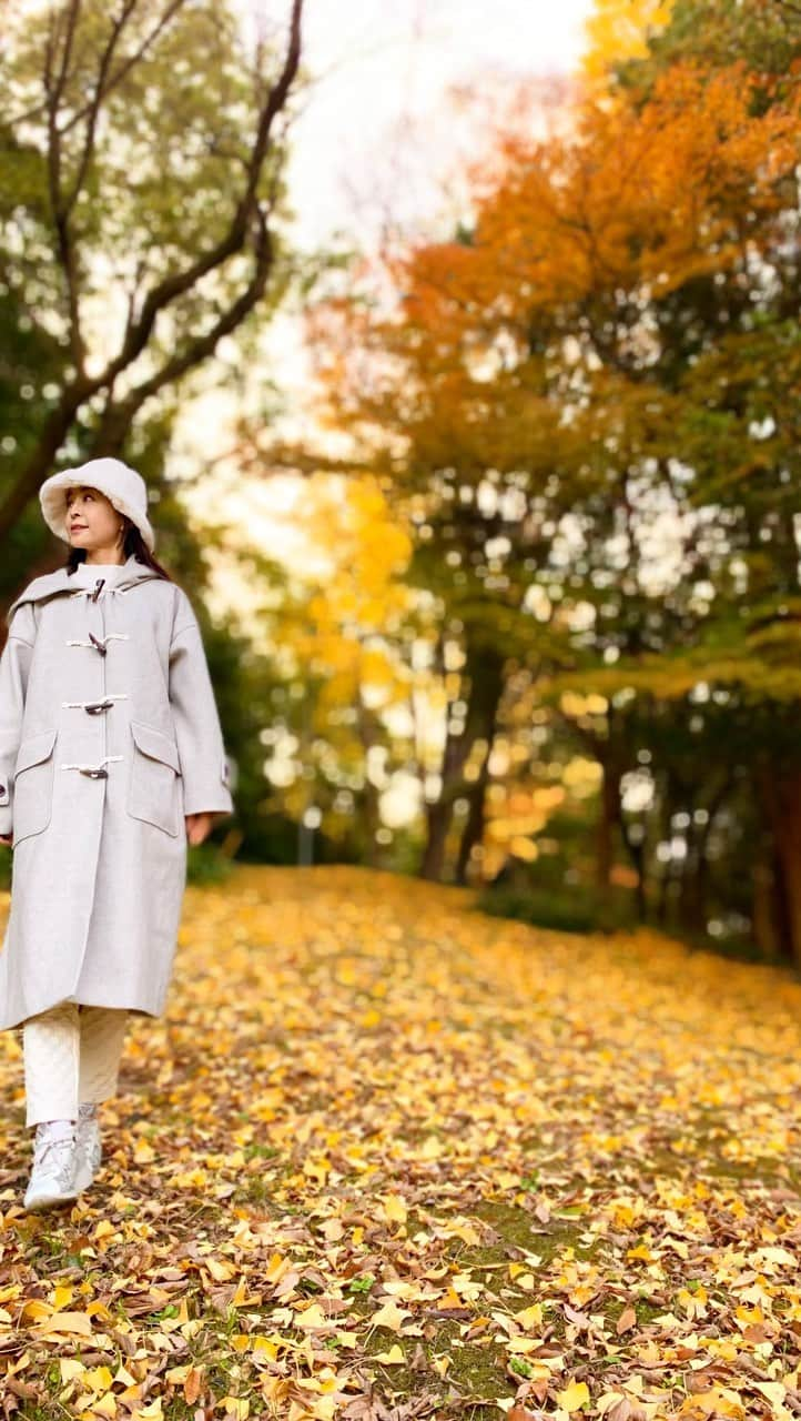 大桃美代子のインスタグラム：「全国で仕事をさせていただいています。  日本列島は広い。  まだ紅葉🍁の残る四国で出会った、  「竜王のクス」。  荒々しく、痛みが残るクスの木。  「ずっとここに居たんだね」と触ると温かい。  四国の森林が大好きです。  豊かな自然と生きる人の優しさ。  自然をいなしながら、折り合いをつける生き方、、、  古来からのあり方に、ジーンときていました。  全国を移動していると、  服選びに迷う事がありますが、  このダッフルコートは、  デザインがかわいいし、温度調整もし易く  街にも、緑豊かな場所でもOK🙆‍♀️  一枚は持っていたいコートです。  ライトグレーが大人感もあり、  大正解でした。  次は、東北に移動があるので、  また役立ちそう。  気忙しい師走ですが、  体調管理は温度管理。  天気予報と、着る物で調整して  風邪に気をつけましょう！  ダッフルコート ファー帽子　@persistence.official   #pr#ダッフルコート#ダッフルコーデ#fashion #冬コーデ##Per sist ence #パーシエンス #Per sist ence公式アンバサダー #Persistence #ファーハット」