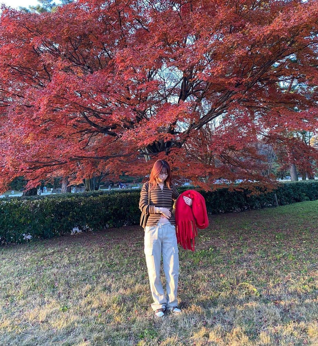 サキさんのインスタグラム写真 - (サキInstagram)「ちょうど色抜けてきて紅葉と髪色がマッチしてた🍁 tops @unif ｶﾜｲｲﾈっっっ‼️」12月9日 0時05分 - 88_gira_88