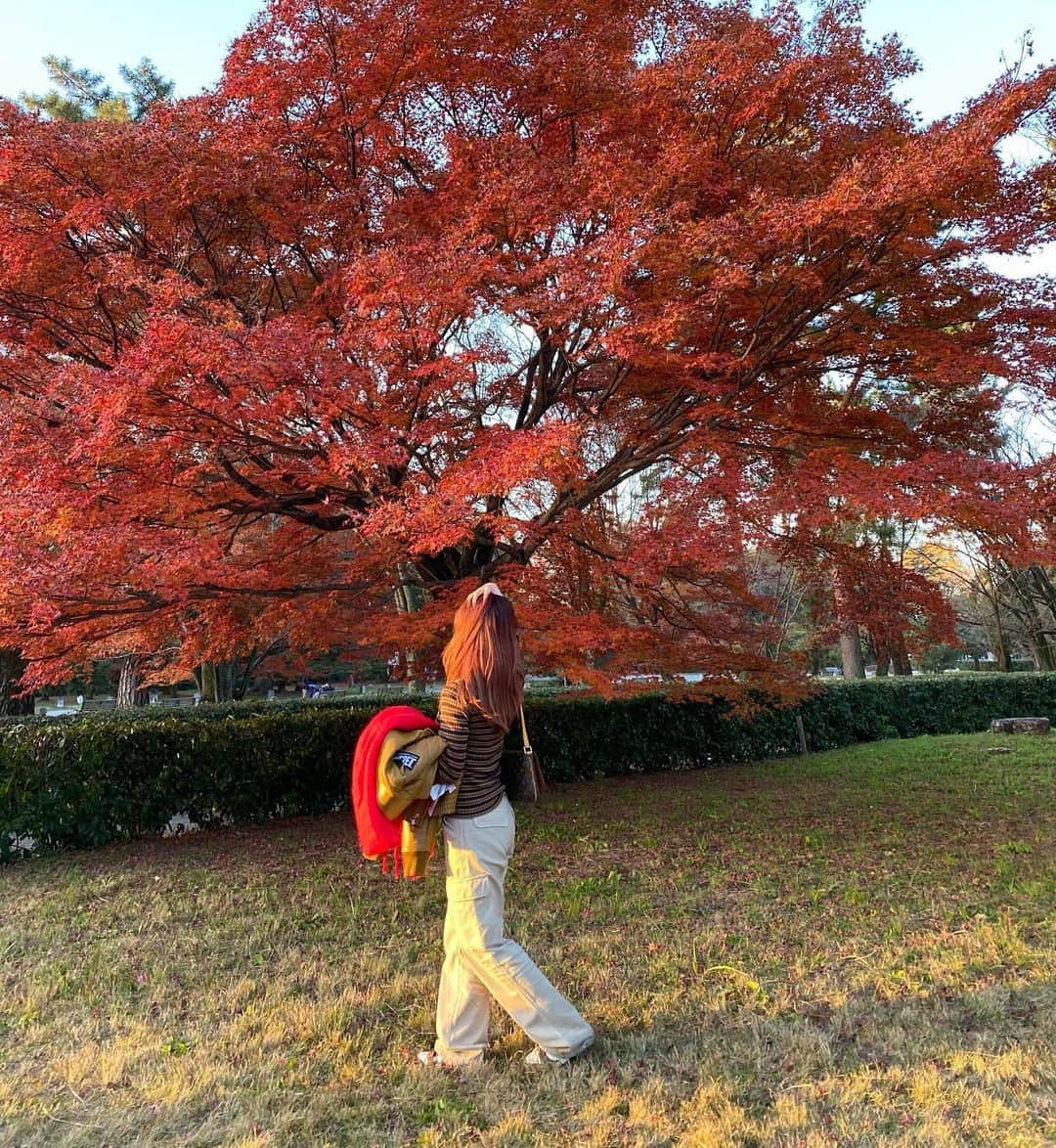 サキさんのインスタグラム写真 - (サキInstagram)「ちょうど色抜けてきて紅葉と髪色がマッチしてた🍁 tops @unif ｶﾜｲｲﾈっっっ‼️」12月9日 0時05分 - 88_gira_88