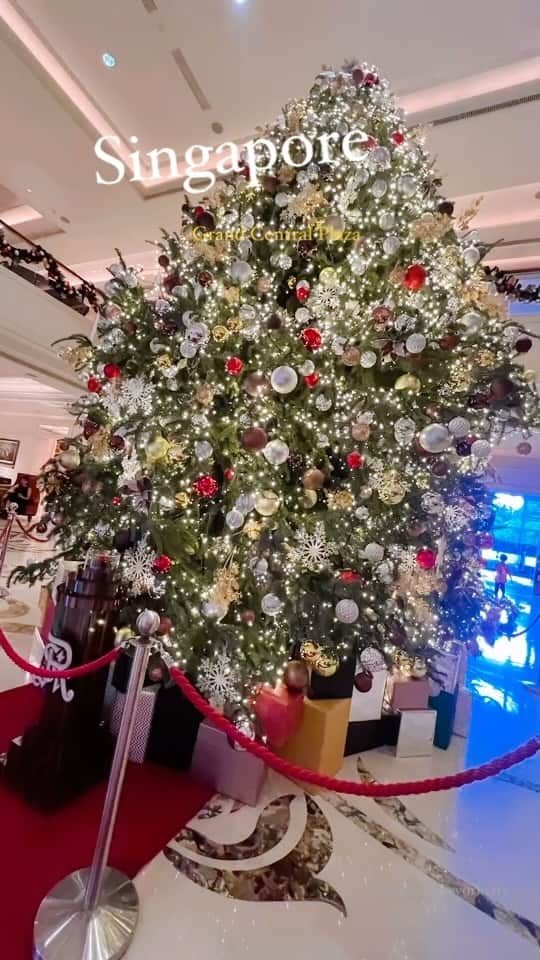藤木貴子のインスタグラム：「沢山のクリスマスツリー❤️  🇸🇬  merry Christmas✨」