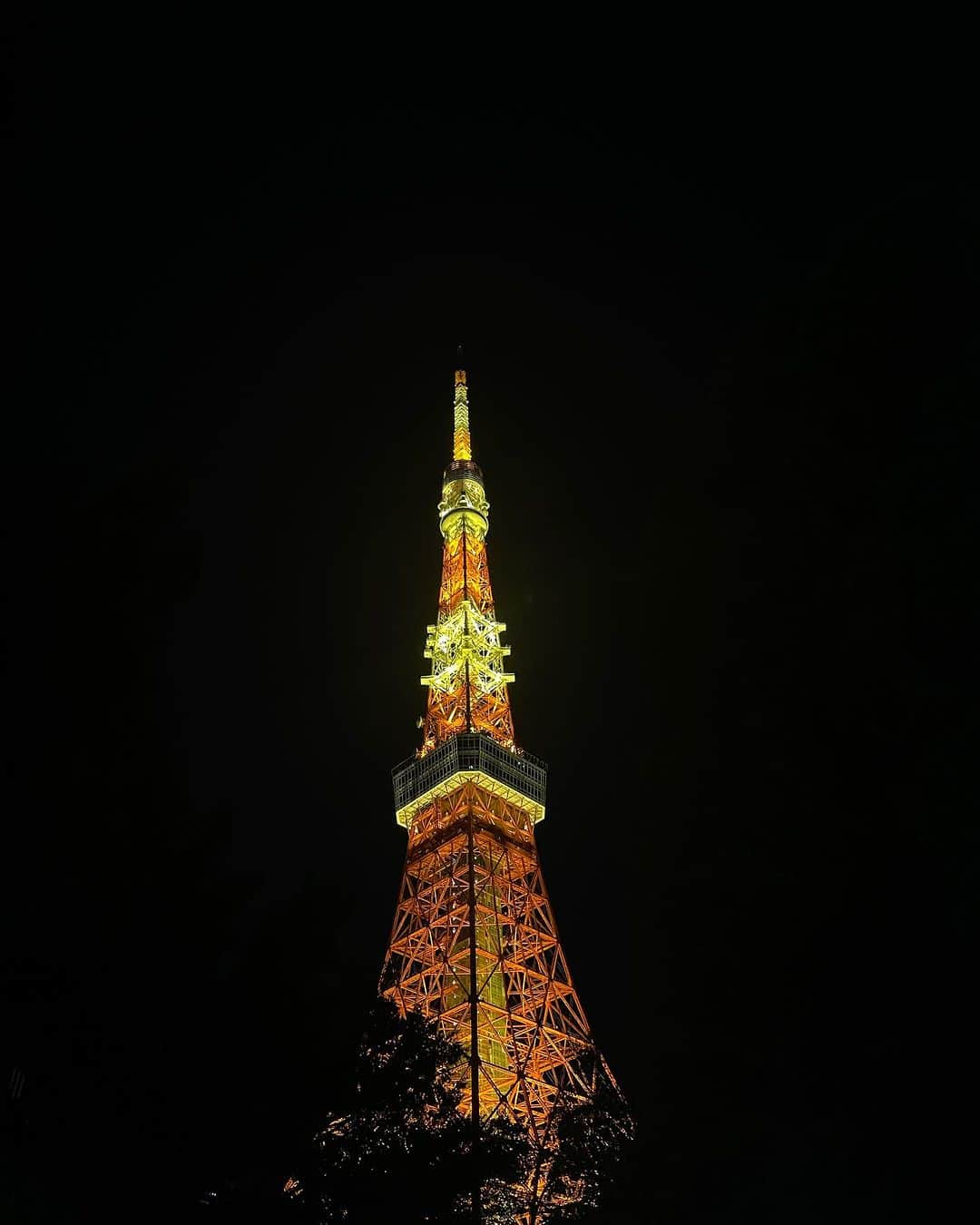 木本泉のインスタグラム：「- せっかく中国飯店まで来たから、、、と東京タワー🗼の31へ🍨  お腹いっぱいで私は食べてない😛 私、アイスよりもジェラートやシャーベット派。  東京タワー、いつ見ても綺麗ですね🌙  #東京タワー#東京」