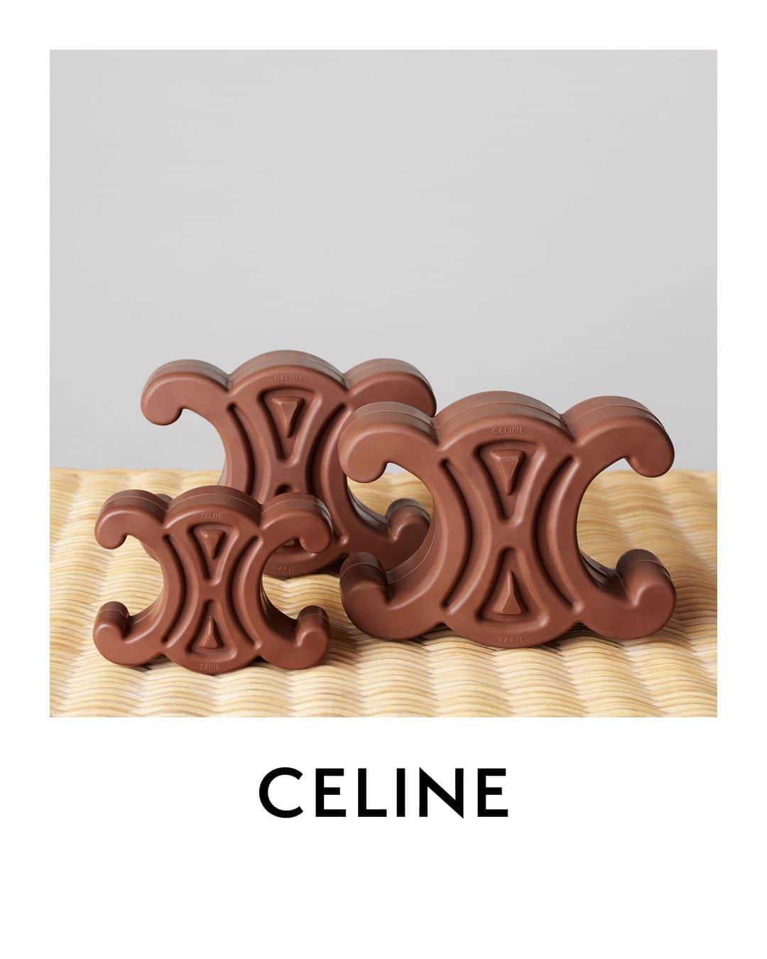 Celineのインスタグラム：「DOG ACCESSORIES COLLECTION  CELINE TRIOMPHE DOG TOY  @HEDISLIMANE PHOTOGRAPHY MONACO NOVEMBER 2023  #CELINEBYHEDISLIMANE」