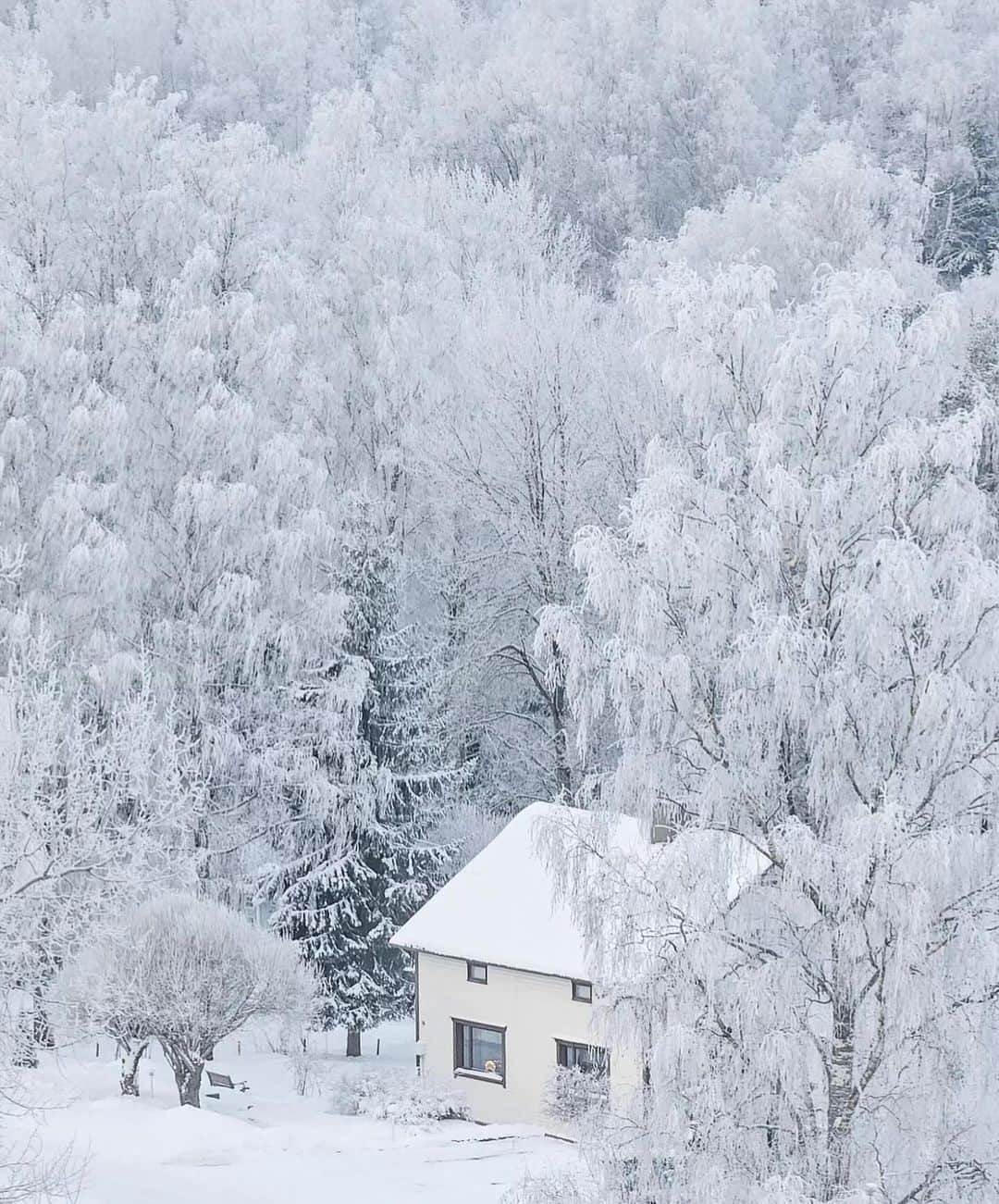 フィンランド政府観光局のインスタグラム：「ラッペーンランタの美しい雪景色❄️🩵💙 みなさん、よい週末を😊 ． 📸 @pullopostia_saimaalta Kiitos! 🙏  #visitfinland #ourfinland #visitfinlandjp #finland #北欧旅行 #travelgram #フィンランド #フィンランド政府観光局 #北欧 #travel #instatravel #travel #travelgram #travelling #traveler #旅したくなるフォト #旅行 #旅 #海外旅行 #travelphotography #旅行大好き #旅行好き #旅スタグラム #旅好き #ヨーロッパ旅行 #旅に出たい #トラベル #雪景色 #冬」