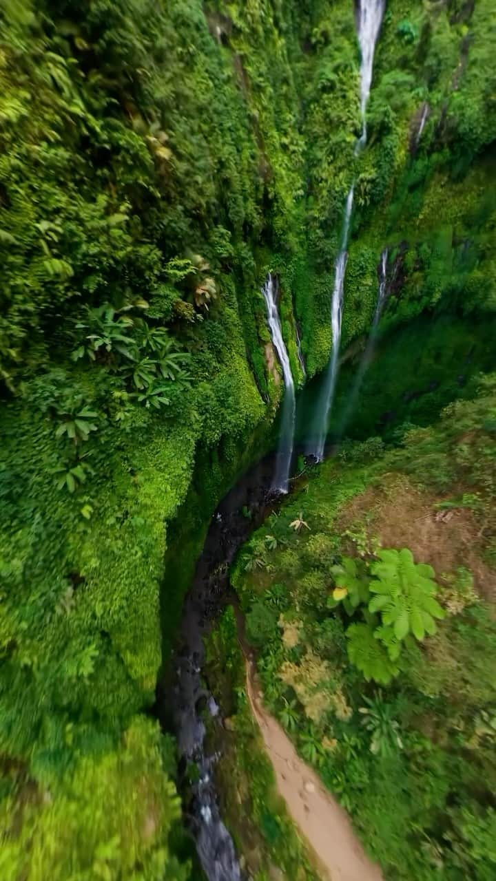 Discover Earthのインスタグラム：「@iamfabreezy captured the breathtaking beauty of Madakaripura Waterfall from a bird’s eye view 💦🌴  📍 East Java, Indonesia  🇮🇩 #DiscoverIndonesia with @iamfabreezy」