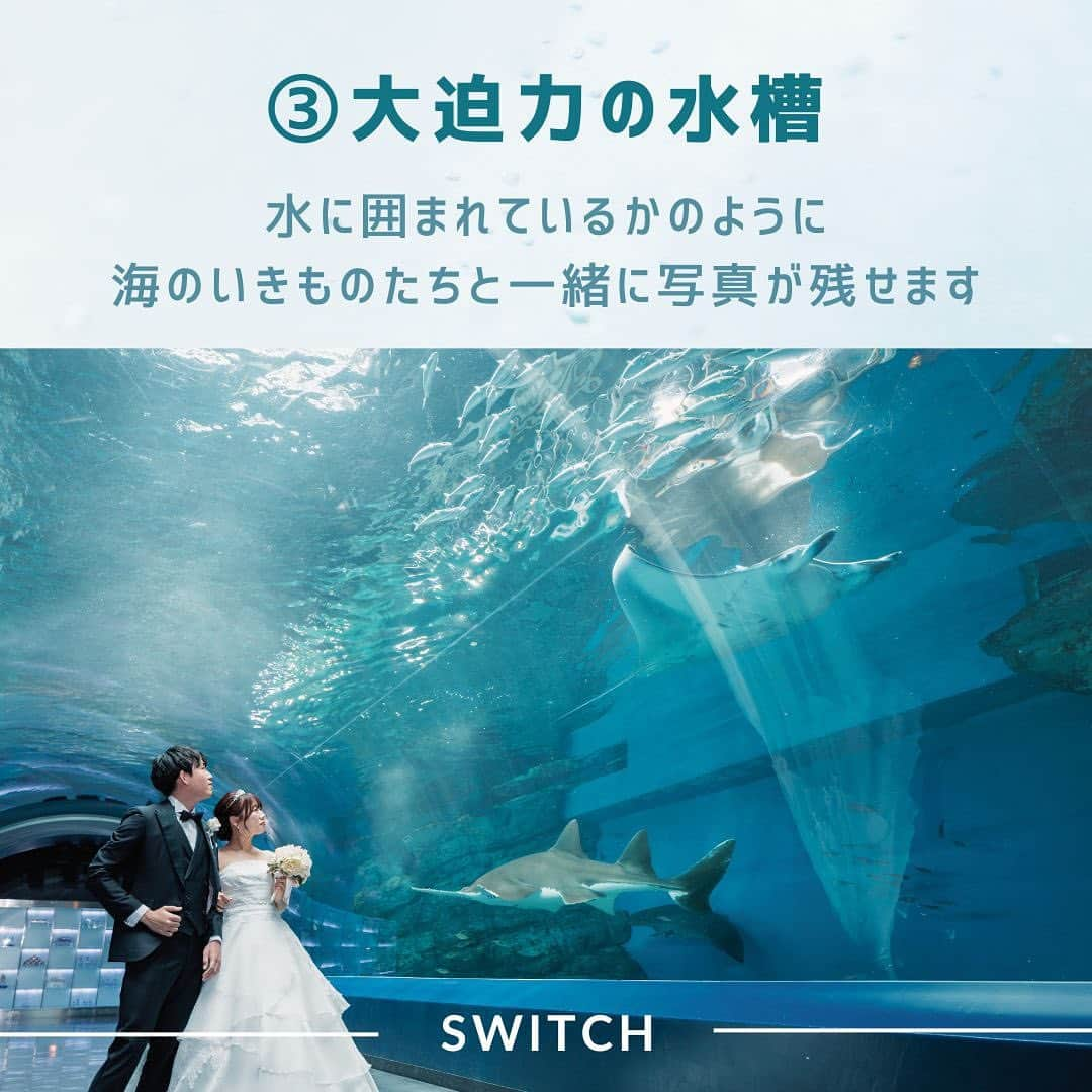 SWITCH SHOOTING PHOTO MAISONさんのインスタグラム写真 - (SWITCH SHOOTING PHOTO MAISONInstagram)「東京 @switch.tokyo 大阪 switch.umeda 札幌 @switch.sapporo 鹿児島 @switch.kagoshima ⁡. ▼少人数結婚式ご検討のカップルはこちらから @chapel_tenkeiandmarry ⁡. ▼前撮り・フォトウェディングご希望のカップルはこちらから @switch.tokyo . #switch表参道#switchomotesando #switch東京　#switchtokyo #前撮り#後撮り#ウェディングフォト#フォトウェディング#フォトスタジオ #ブライダルフォト#結婚写真#結婚式前撮り#プレ花嫁#花嫁準備#ブライダルヘア#ウェディングヘア#おしゃれ花嫁#ドレス試着#結婚式#日本中のプレ花嫁さんと繋がりたい#ウェディングドレス#カラードレス#タキシード#和装前撮り#色打掛#白無垢#品プリ花嫁 #品プリ婚」12月9日 15時35分 - switch.tokyo