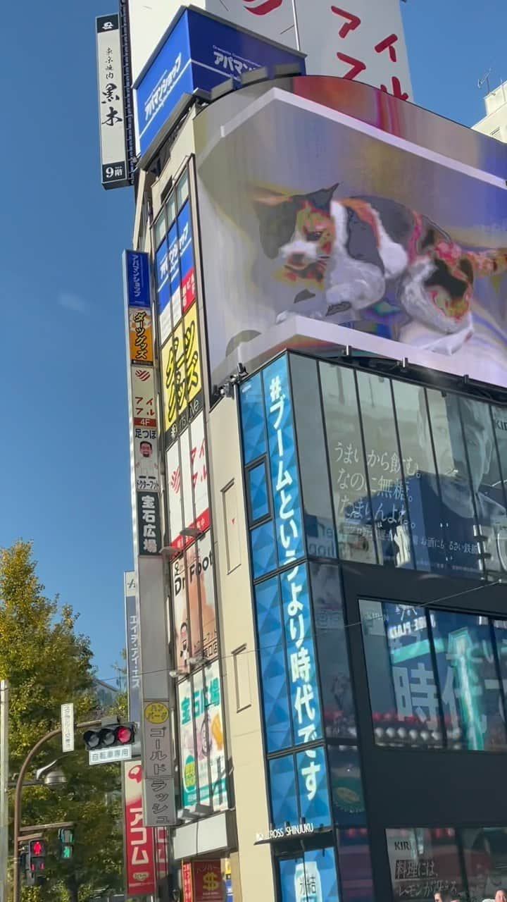 太田エイミーのインスタグラム：「Driving around Tokyo. What a beautiful day!」