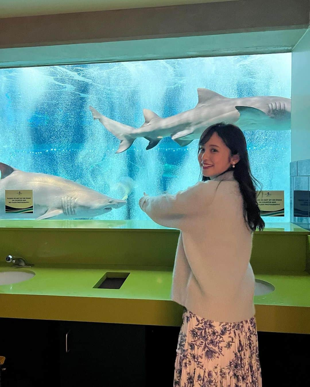 久慈暁子さんのインスタグラム写真 - (久慈暁子Instagram)「* Arizonaにある水族館🐠🪸 なによりびっくりしたのが トイレに入ると目の前に現れるサメと魚🦈！ 2017年にアメリカのベストトイレに選ばれたらしいです🫧 初めてエイにも触ることができました🐋 なぜかナマケモノもいました🦥 * #水族館 #odyseaaquarium  #Arizona  #今週のラジオで話した写真」12月9日 16時05分 - kuji_akiko