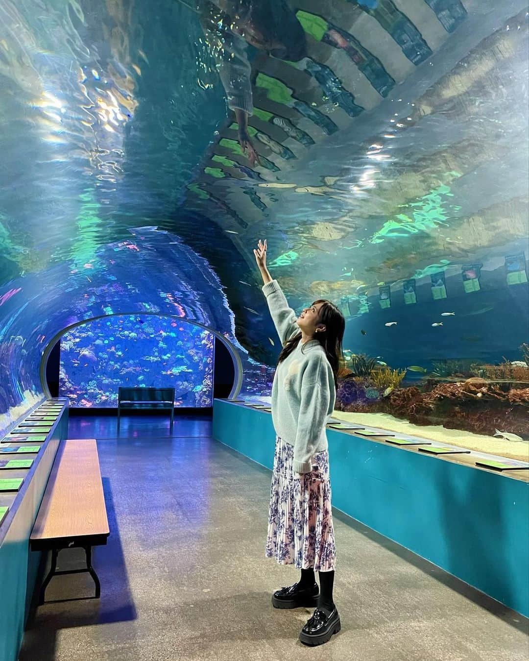 久慈暁子さんのインスタグラム写真 - (久慈暁子Instagram)「* Arizonaにある水族館🐠🪸 なによりびっくりしたのが トイレに入ると目の前に現れるサメと魚🦈！ 2017年にアメリカのベストトイレに選ばれたらしいです🫧 初めてエイにも触ることができました🐋 なぜかナマケモノもいました🦥 * #水族館 #odyseaaquarium  #Arizona  #今週のラジオで話した写真」12月9日 16時05分 - kuji_akiko