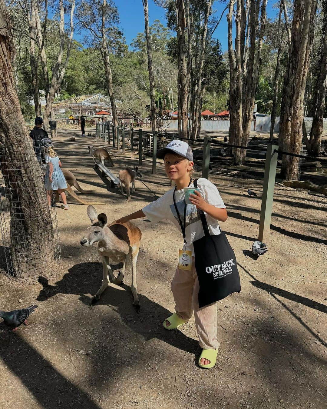 Tammyさんのインスタグラム写真 - (TammyInstagram)「Gimme a home among the gumtrees 🦘」12月9日 7時52分 - tammyhembrow