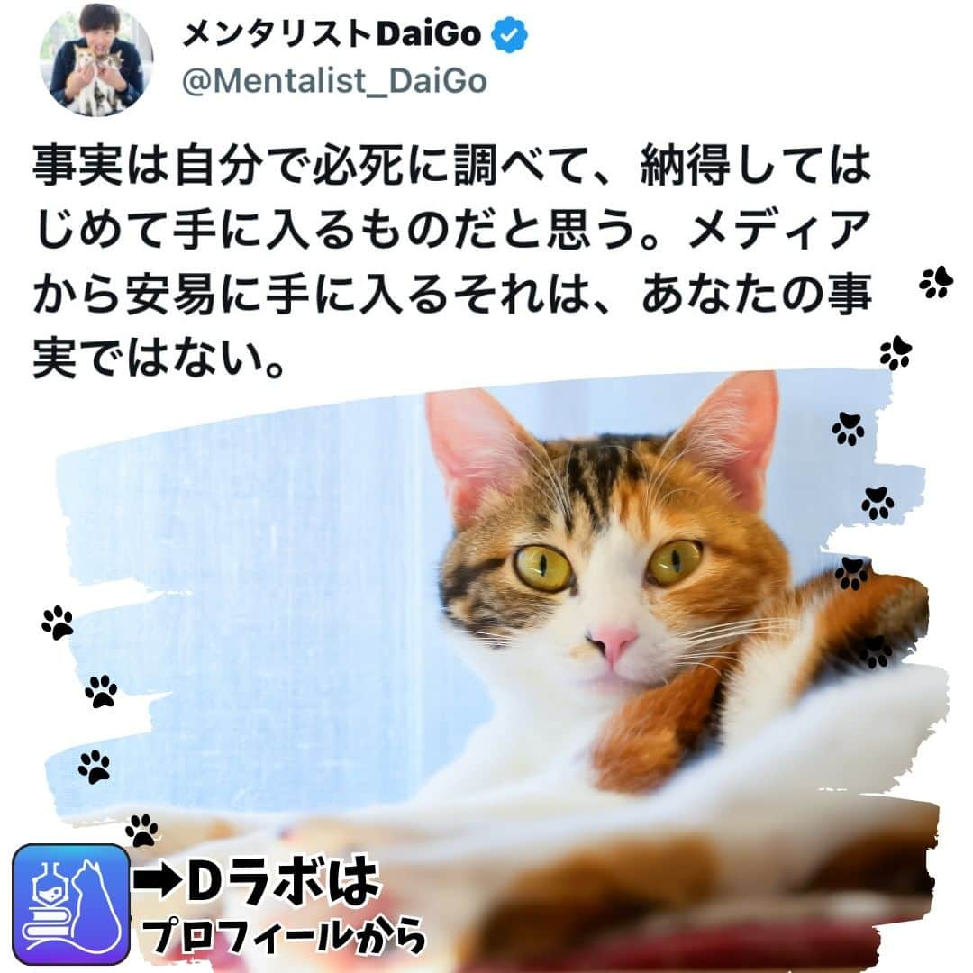 メンタリストDaiGoのインスタグラム：「🐈本日の名言📚 プロフィールからDラボもみてね  #心理学 #メンタリスト #dラボ  #dラボはプロフィールから」