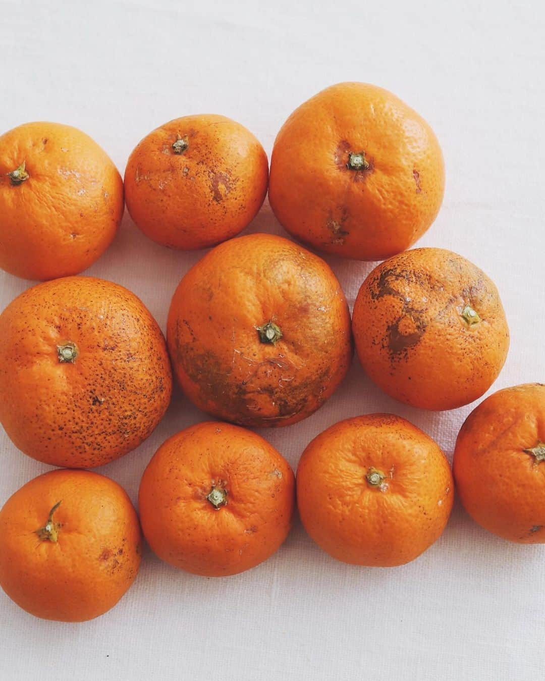 樋口正樹さんのインスタグラム写真 - (樋口正樹Instagram)「anko mikan toast 🍊  今朝はあんみかんトースト。 フルーツ大福っぽく美味し👍  みかんは宮崎日南で育った みつばちみかんという逸品。 果皮に傷や汚れがあるけど みつばちの足跡のような跡。 おいしさの証なんですって🐝  . #あんみかんトースト #あんバター #あんバター #みつばちみかん #温州みかん #mikan #ankobuttertoast」12月9日 8時16分 - higuccini