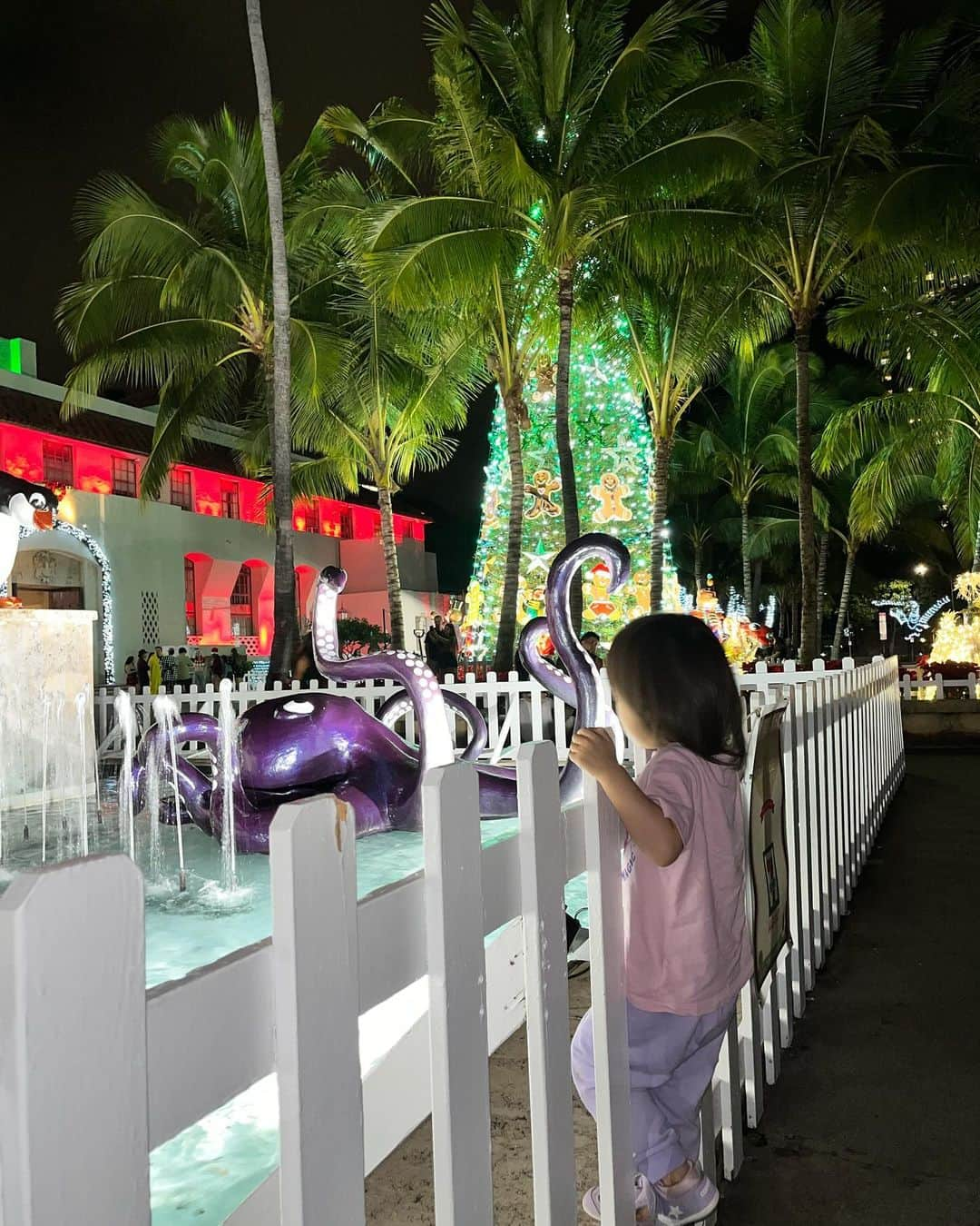 加藤章太郎さんのインスタグラム写真 - (加藤章太郎Instagram)「. 🎄HONOLULU CITY LIGHTS🎄  #honolulucitylights #beach #sunset #hawaiitrip #hawaii #familytrip #vacation #aloha #lovemydaughter」12月9日 9時49分 - __shotaro__