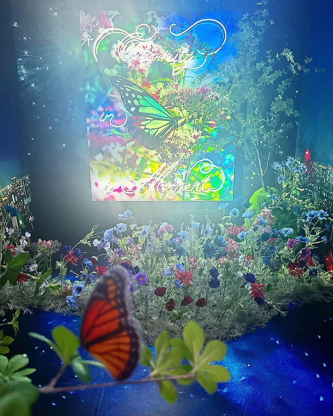 蜷川実花さんのインスタグラム写真 - (蜷川実花Instagram)「週末！！ 「蜷川実花展 Eternity in a Moment 瞬きの中の永遠」 に行ってみようかなと思っている皆様へ🩵 結構会期後ろになると混み混みになるので早めにいらっしゃるのもオススメです😀 🔵当日券はいつでも基本的にあります，好きな時間にきて現地で購入いただけます😊 🔵お子様連れももちろん大丈夫です。ペビーカーで展示室は入れないのですが、45階でお預かりできるのでご安心くださいね。抱っこ紐あると楽かも。 毎日たくさんお子さん連れ（赤ちゃんもいっぱい）いらしてるのでぜひ。 🔵写真，動画撮影全て大丈夫です。三脚や自撮り棒は他のお客様の迷惑になるので控えていただけたら嬉しいです。 🔵45階のカフェでパリの三つ星シェフ小林圭さん監修のスウィーツとドリンクがオーダーできます。これ凄いことなんですよ、シュークリームやマカロンも素晴らしいのでぜひ立ち寄ってみて下さい。数量限定なので。 🔵グッズショップも大充実です。デザイナーコラボ商品は本当にレアなここだけのアイテムなので（めちゃ可愛い）ぜひチェックしてくださいね 🔵昼も素晴らしいですが，夜もかなり面白い展示になってます。今日は21時明日は20時まで開いてます。夜景作品の融合オススメです。 🔵8階のTokyoNodeCaffeでもコラボメニューあるので立ち寄ってみてね！  あとねあとね，どの作品が好きだったかもぜひ教えてね!  「蜷川実花展 Eternity in a Moment 瞬きの中の永遠」 会期：2023.12/5-2024.2/25 会場：TOKYO NODE 45階 GALLERY A/B/C #蜷川実花展eim #100万色の桃源郷へ #tokyonode #mikaninagawa #蜷川実花」12月9日 9時57分 - ninagawamika