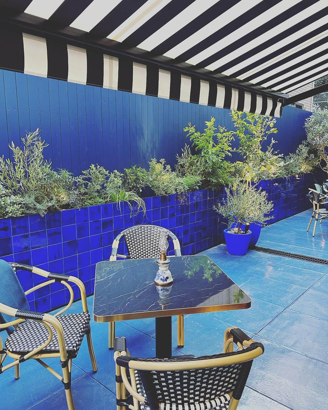 LEEさんのインスタグラム写真 - (LEEInstagram)「大人気カレンソロジー初のカフェ「CSG BLUE CAFE AOYAMA」がお目見え✨  今週末オープンを迎えたCSG BLUE CAFE AOYAMAへひと足先に行ってまいりました❣️ 店内はパリのカフェをイメージしたブルーで統一されていて、 雰囲気たっぷり💙 ロイヤルコペンハーゲンのカップでいただく飲み物やブルーのカクテルやアイスもオシャレ  お客様が大勢ですごく賑わっていたので店内の写真は撮れず、でしたがテラスがとっても気持ちよさそうでしたよ（写真1枚め）  カフェオープンとともに青山店も隣接で移転して、広々としたショップに。 お買い物の後にほっと一息ついたり、お買い物の途中にちょっと考えるためにお茶したり⁉︎ 思い思いの時間が過ごせそう😊  @leemarche  別注ニットの色もブルー💙気が合いますね😍店長ぽんちゃん🚙  #curensology  #カレンソロジー青山  #magazinelee  #leeweb  #leemarche  #lee1.2月合併号　#表参道カフェ  #omotesando  #aoyama  #蛯原友里 さん  https://store.hpplus.jp/lee/shop/g/g4171880000LM_r24986/」12月9日 10時35分 - magazinelee