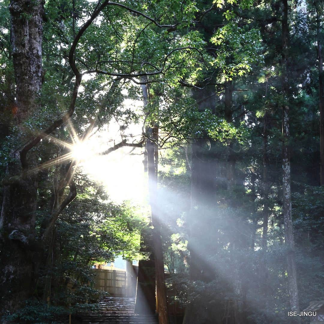 伊勢神宮のインスタグラム：「#伊勢神宮 #神宮 #神社 #心のふるさと #内宮 #朝日 #木漏れ日 #参道 #isejingu #jingu #soul_of_japan #japan #jinja #shinto #naiku #sunlight」