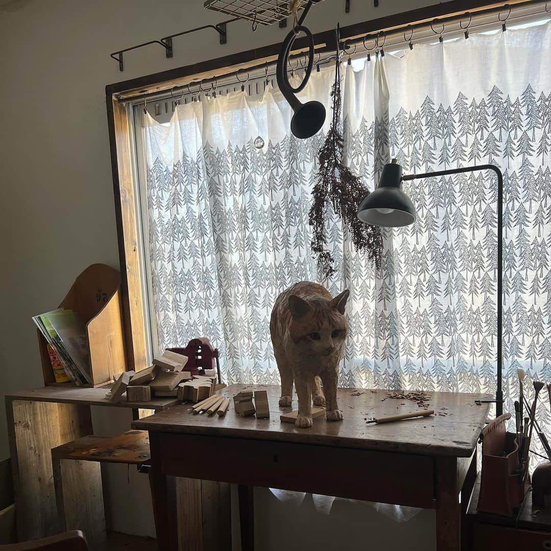 はしもとみおさんのインスタグラム写真 - (はしもとみおInstagram)「猫のデカオくんの彫刻が完成しました。 木から生まれたこの子は、窓のお外を眺めて、新しい世界を確かめているよう。 これから見える景色が、すべて愛あるものであふれますように。お誕生日おめでとう。  #woodcarving #wood#miohashimoto #sculpture #woodsculpture #wood#cat#art#デカオ」12月9日 11時52分 - hashimotomio