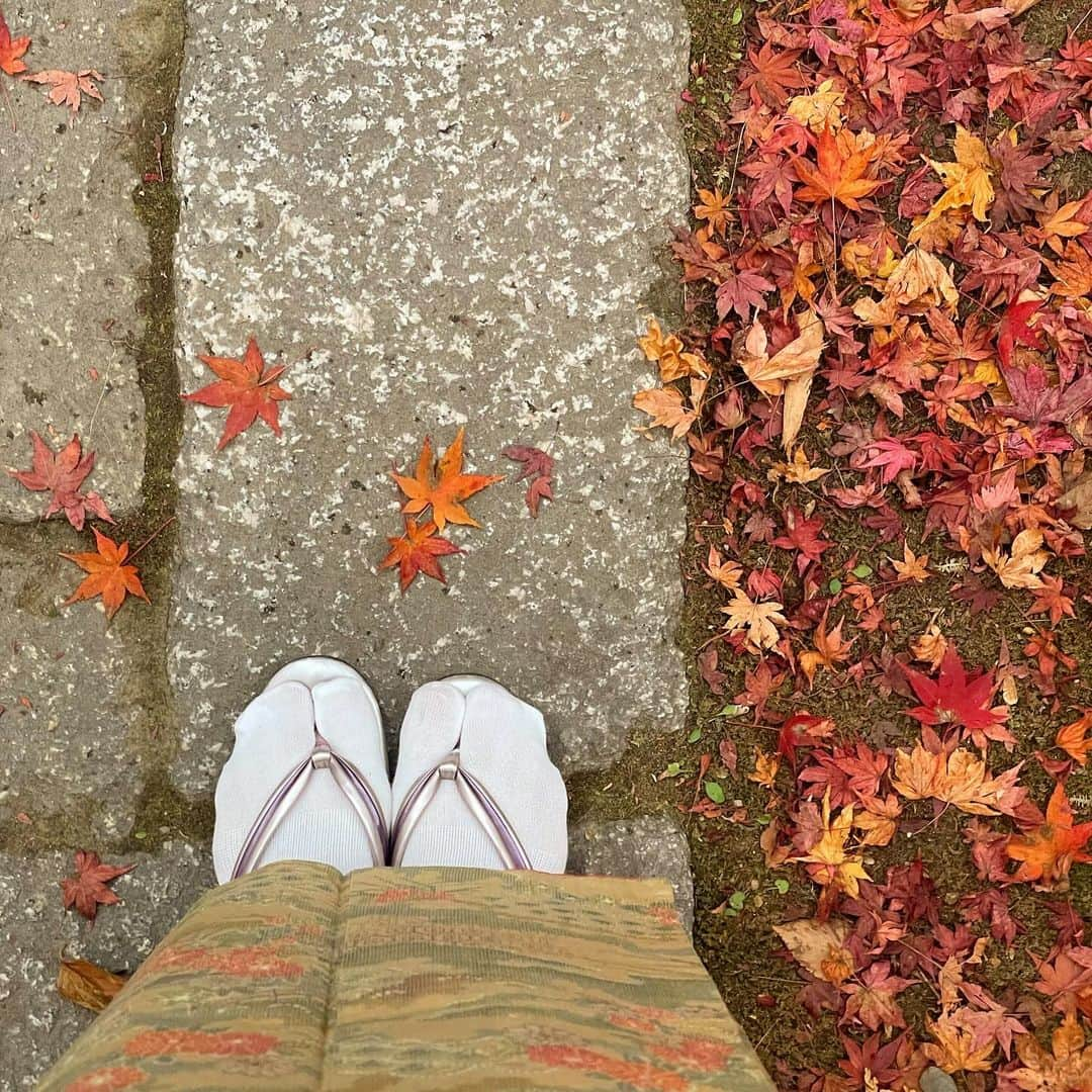 道重佐保さんのインスタグラム写真 - (道重佐保Instagram)「何処にいるでしょう？🍁🍂  . . . #japaneseculture #kimono #wa #wafuku #japanesekimono #和 #和装 #和服  #紅葉 #autumn #autumnvibes🍁 #autumleaves #🍁 #iphone撮影  #portrait #japanesegirl #ig_japan #followme #ootd #日本的 #山口県出身 #道重佐保 #michishigesaho」12月9日 12時36分 - sahomichishige