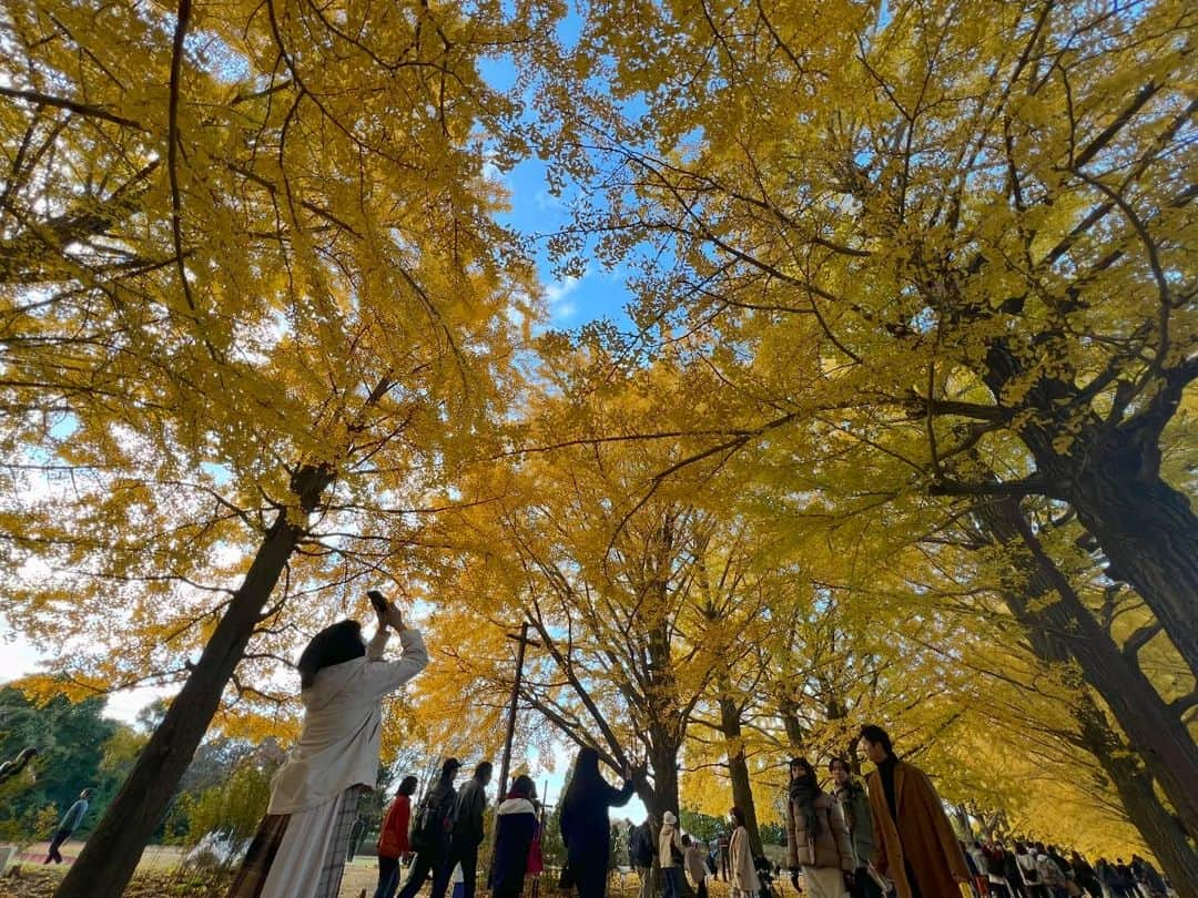 麻倉まりなさんのインスタグラム写真 - (麻倉まりなInstagram)「♡ . . 母を被写体にして🍁 . . . . . #紅葉 #紅葉狩り #紅葉スポット #昭和記念公園 #いちょう並木 #gravure #model #インスタグラビア #グラドル #グラビア #japanesegirl #portrait #撮影 #麻倉まりな #令和のハミ乳クイーン」12月9日 13時04分 - marina_asakura