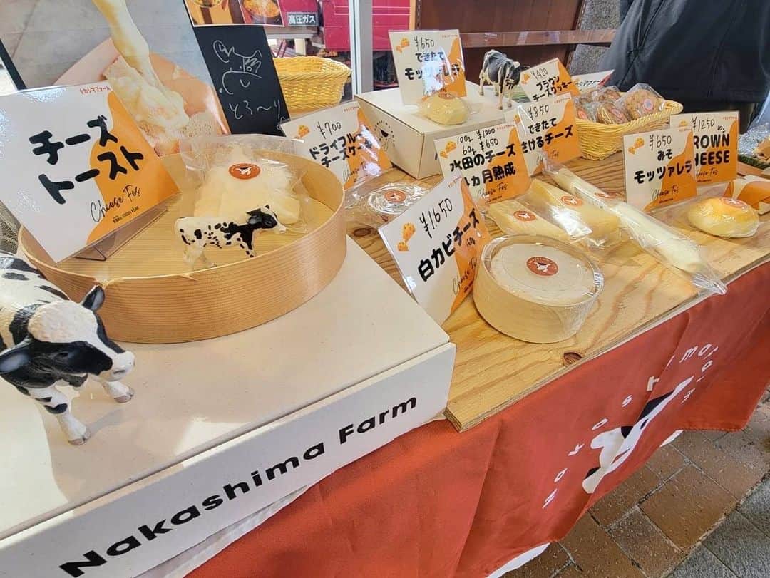 テレビ西日本「Cubetnc」さんのインスタグラム写真 - (テレビ西日本「Cubetnc」Instagram)「本日の放送もご視聴頂き ありがとうございました☺️  とろけるチーズフェス 響灘緑地グリーンパークで 明日10日まで開催中✨  キッチンカーのチーズグルメが味わえるほか、 チーズ製品の試食や販売も行われています🧀  #とろけるチーズフェス #響灘緑地グリーンパーク  #橋本真衣 #橋本真衣アナウンサー  #福岡newsファイルcube」12月9日 14時05分 - cubetnc