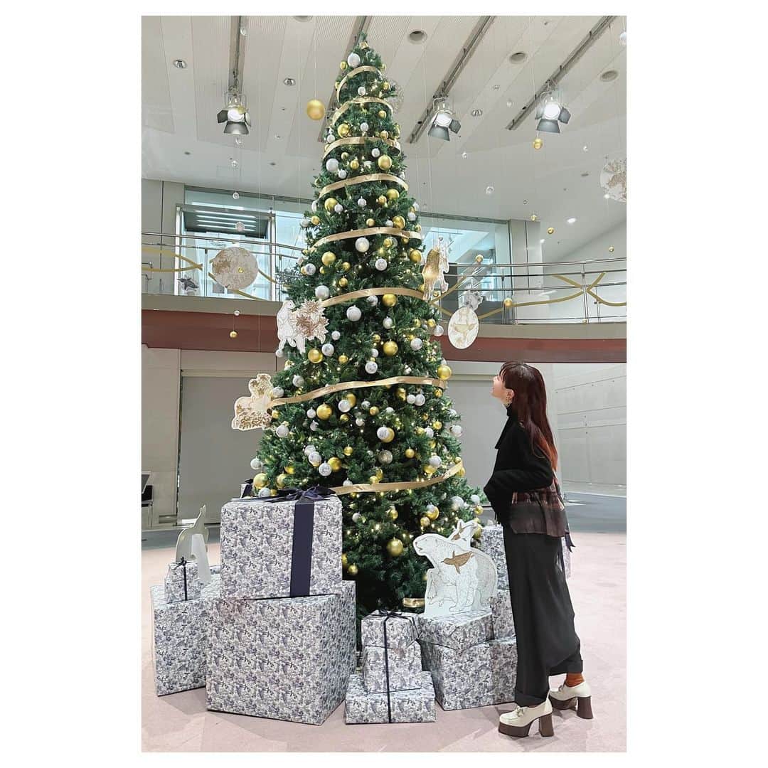 大塚愛のインスタグラム：「もうすぐクリスマス🎄 待ち構える大掃除🫨  AIO　#クリスマスツリー  #素敵 #プレゼント #大好き」