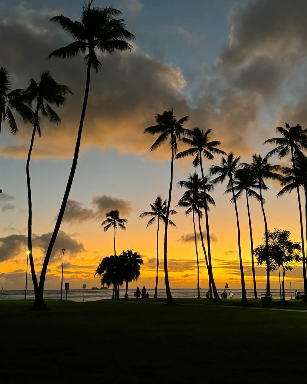 小堺大輔のインスタグラム：「. 今年2回目のHawaii  冬のHawaiiなので天気も波も期待していなかったけど、 行ったら気候も良く奇跡的にサウスにも何日か波もあり。 ただひたすら波乗りとwineをみんなでワイワイ楽しんだ滞在になりました。 LSって楽しいね。  毎日二日酔いでしたが 帰りの空港ラウンジのお味噌汁に救われました。  やっぱHawaiiは良いね。 いつ渡航が出来なくなるかわからないこのご時世 行ける時に行っとかないとですね。  向こうで遊んでくれた皆様 ありがとうございました。  荷物入れ替えて明日沖縄向かいます。 ではでは、また。」