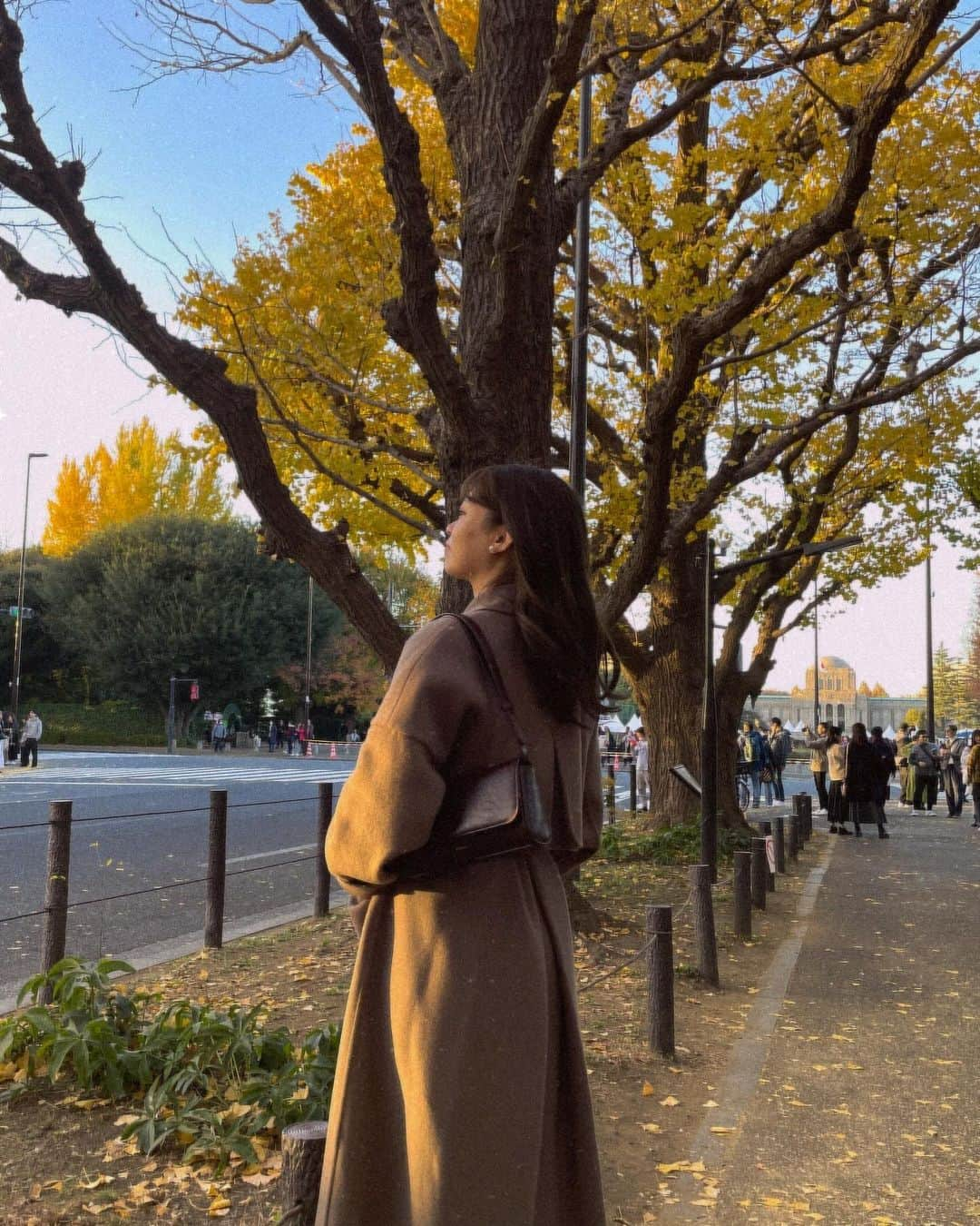 前田亜美さんのインスタグラム写真 - (前田亜美Instagram)「. ➰🍂🍁. . .  #銀杏並木通り  #並木通り  #イチョウ」12月9日 14時33分 - ami___maeda0601