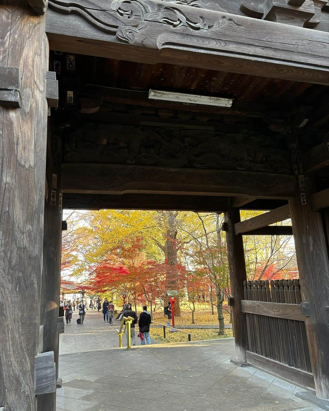 大和田獏さんのインスタグラム写真 - (大和田獏Instagram)「#ばくさんぽ 九品仏の浄真寺！ 10日前は銀杏が見頃でしたが、今日は紅葉🍁が最高に綺麗でした。 それにしても大勢の人でした。 普段は静かな境内なのに！ 恥ずかしながら一句！ 孤高なる地蔵の肩の紅葉かな お粗末‼️」12月9日 14時45分 - bakuowada